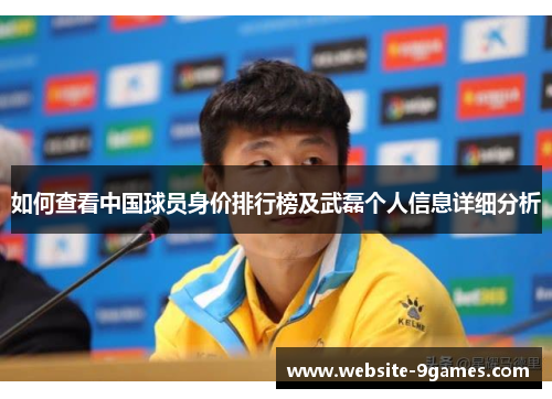 如何查看中国球员身价排行榜及武磊个人信息详细分析