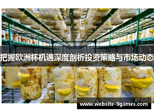 把握欧洲杯机遇深度剖析投资策略与市场动态