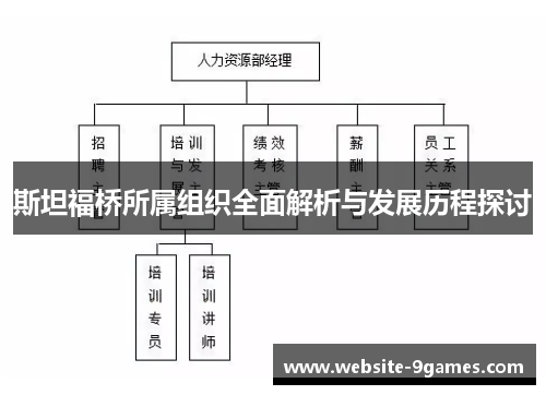 斯坦福桥所属组织全面解析与发展历程探讨